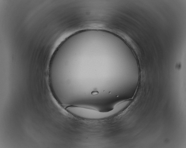 X0000088881432200707061400
