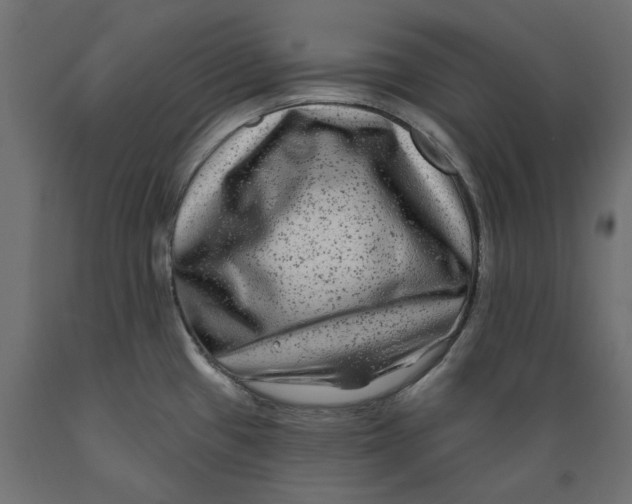 X0000088881433200707061400