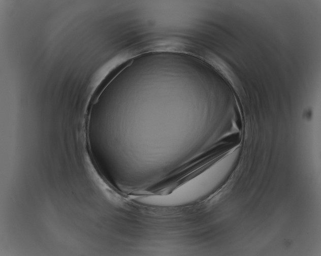 X0000088881434200707061400