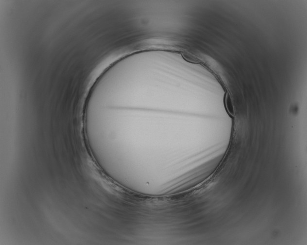 X0000088881435200707061400