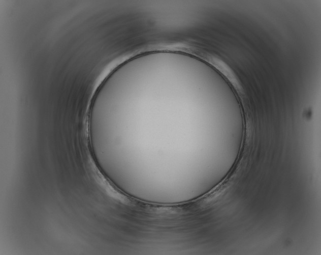 X0000088881436200707061400