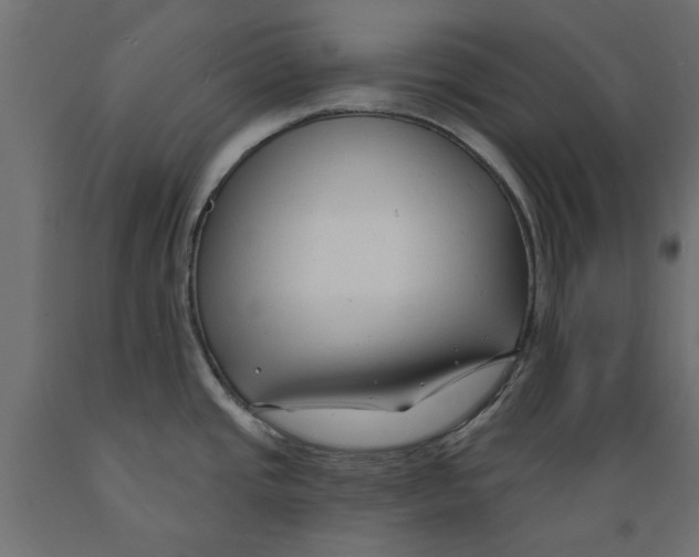 X0000088881437200707061400
