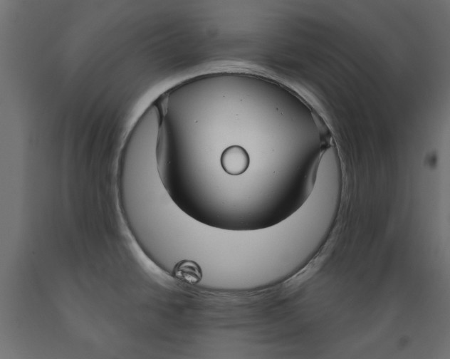 X0000088881438200707061400