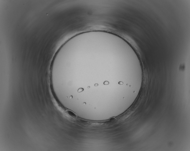 X0000088881439200707061400