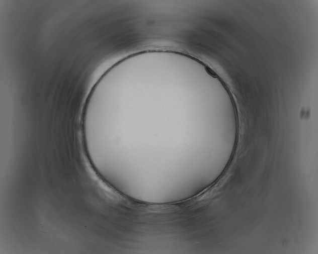 X0000088881440200707061400