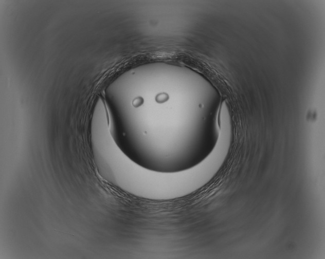 X0000088881441200707061359