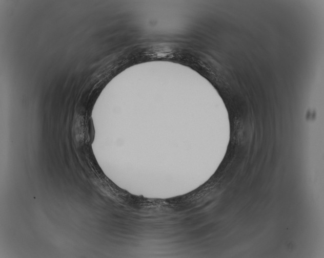 X0000088881442200707061359