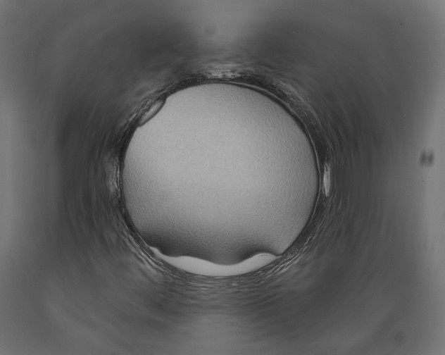 X0000088881444200707061359