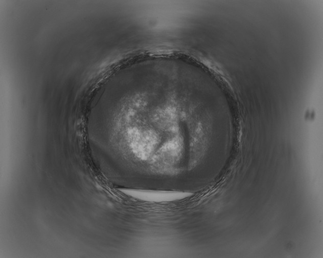 X0000088881445200707061359