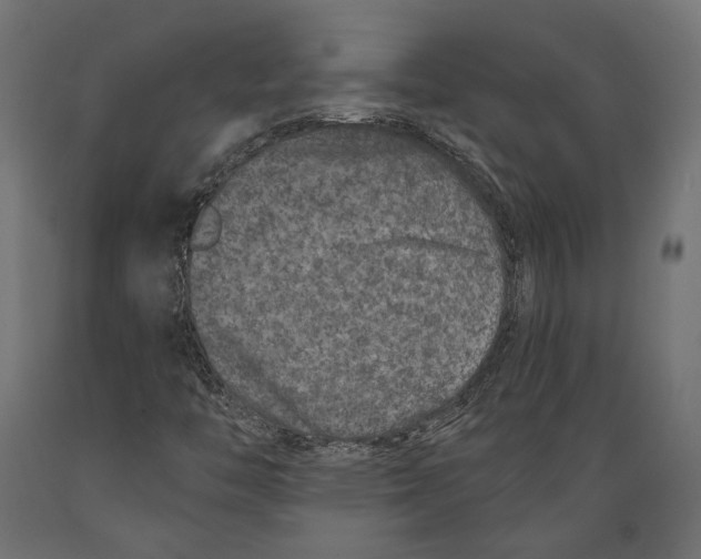 X0000088881446200707061359