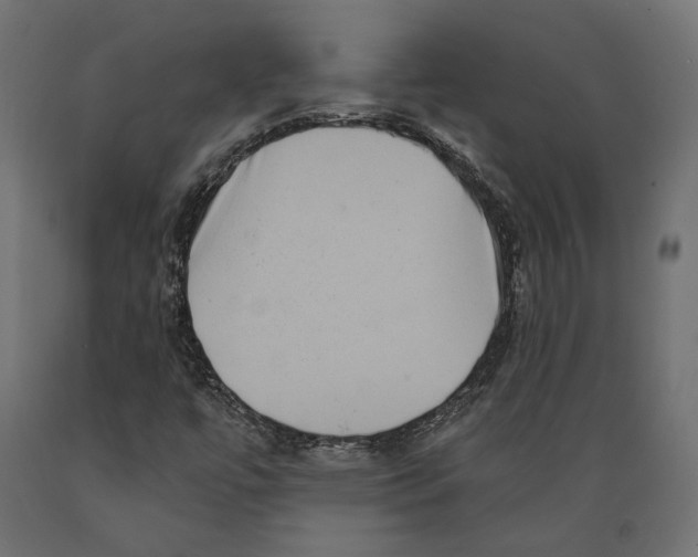 X0000088881447200707061359