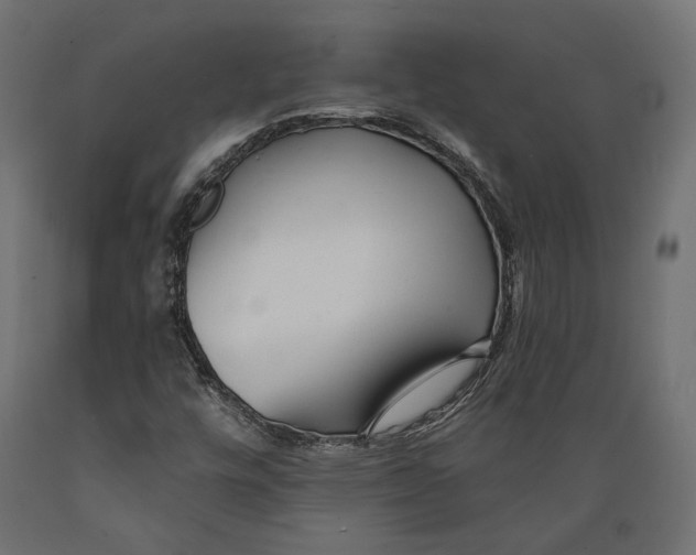 X0000088881448200707061359