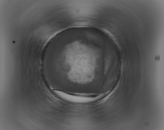 X0000088881449200707061359