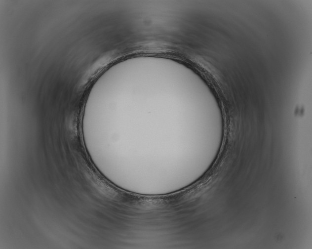 X0000088881451200707061359