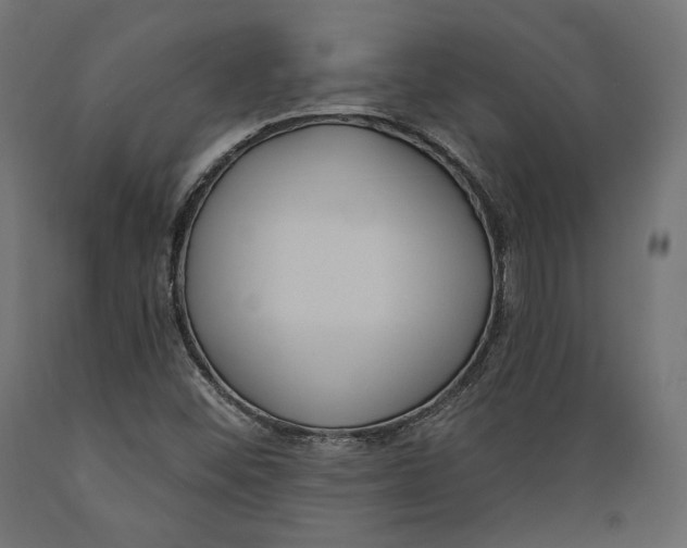 X0000088881452200707061359