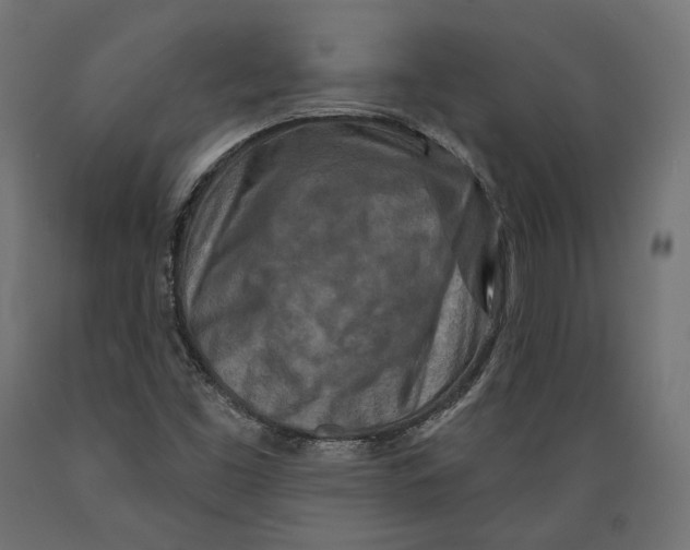 X0000088881453200707061359