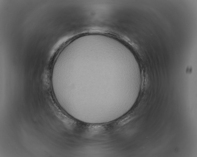 X0000088881454200707061359