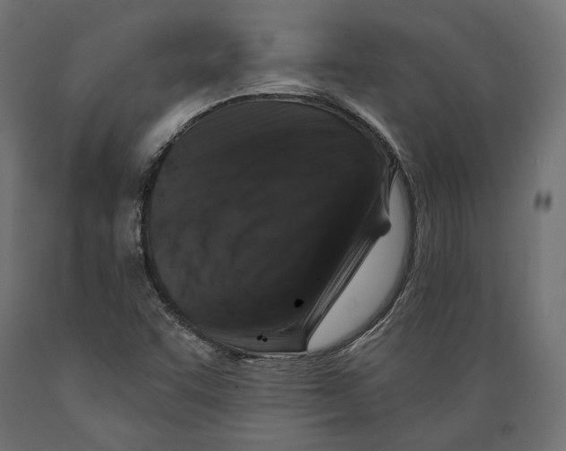 X0000088881455200707061359
