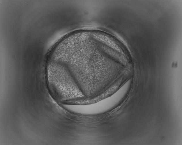 X0000088881456200707061359