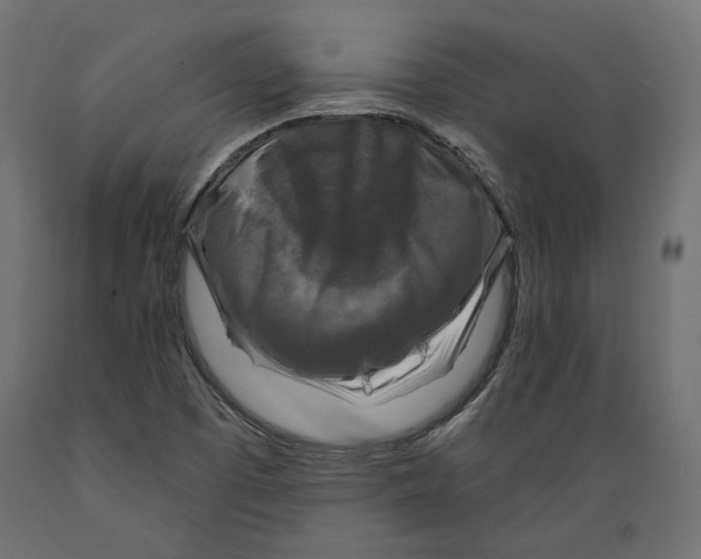 X0000088881457200707061359