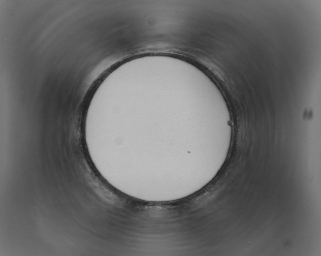 X0000088881458200707061359