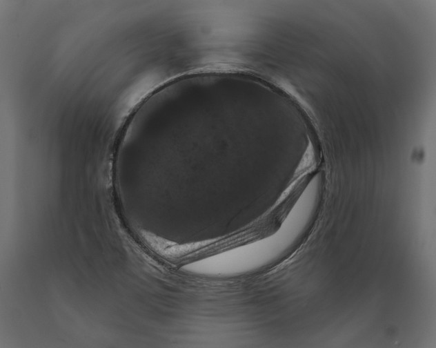 X0000088881459200707061359