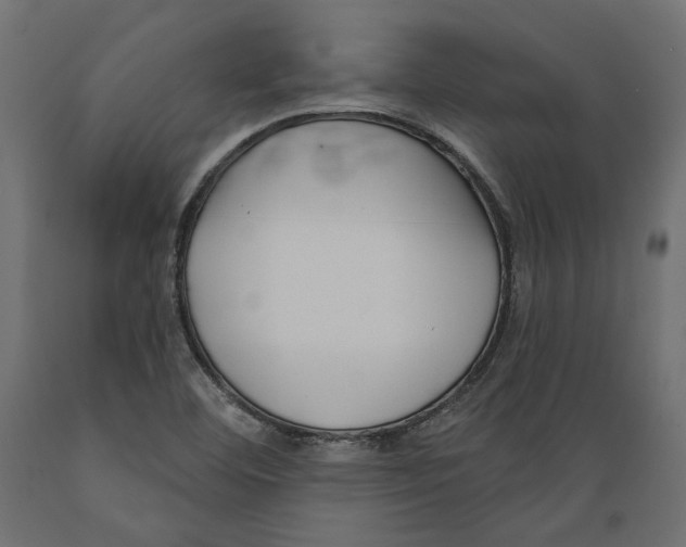 X0000088881460200707061359