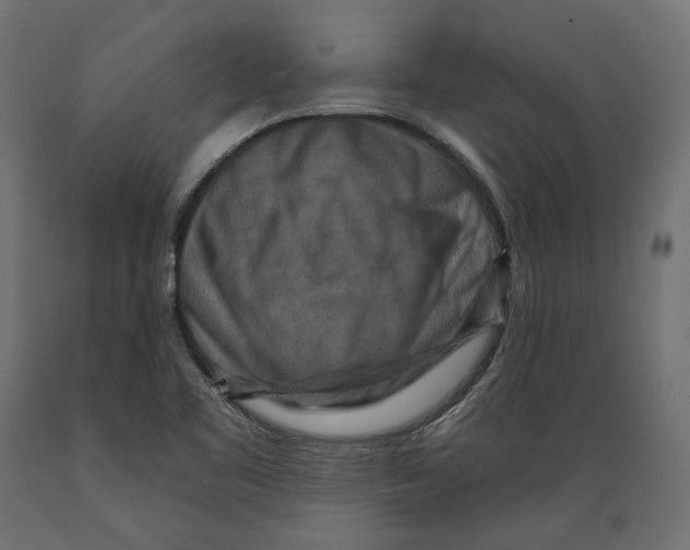 X0000088881461200707061359