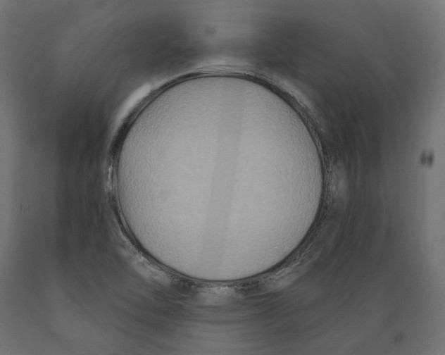 X0000088881462200707061359