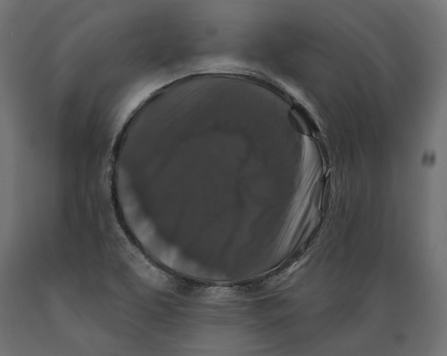 X0000088881463200707061359