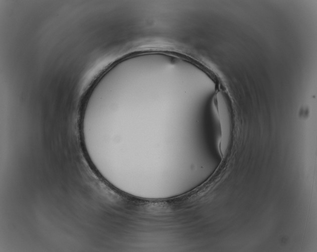 X0000088881464200707061359