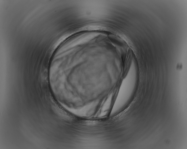 X0000088881465200707061359