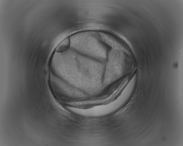 X0000088881467200707061359