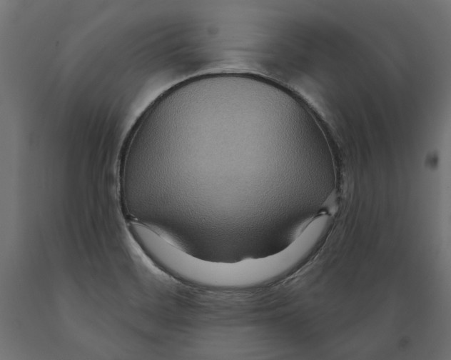 X0000088881468200707061359