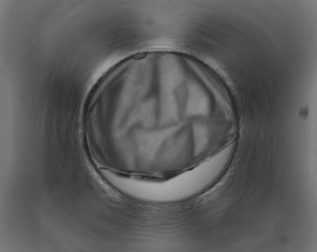 X0000088881469200707061359