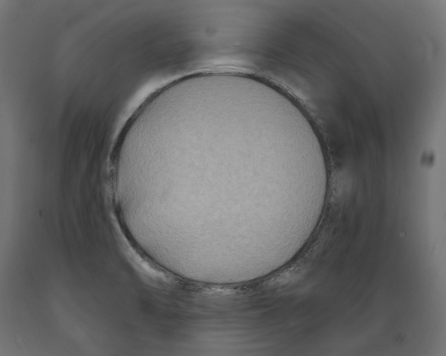 X0000088881470200707061359