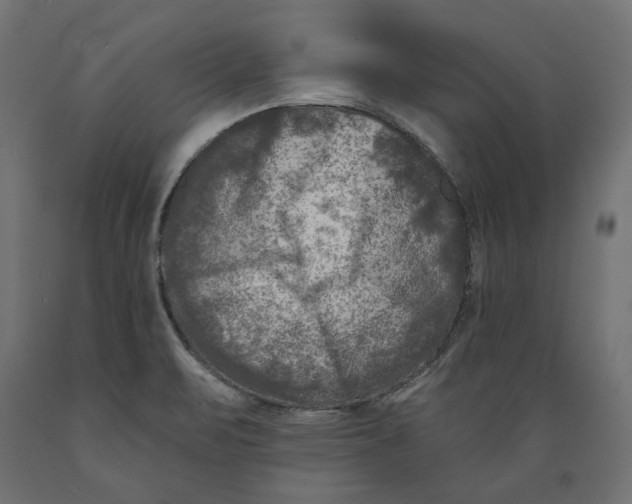 X0000088881471200707061359