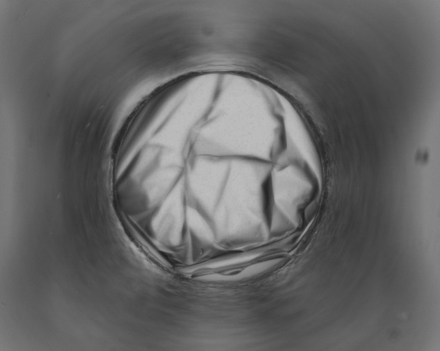 X0000088881472200707061359