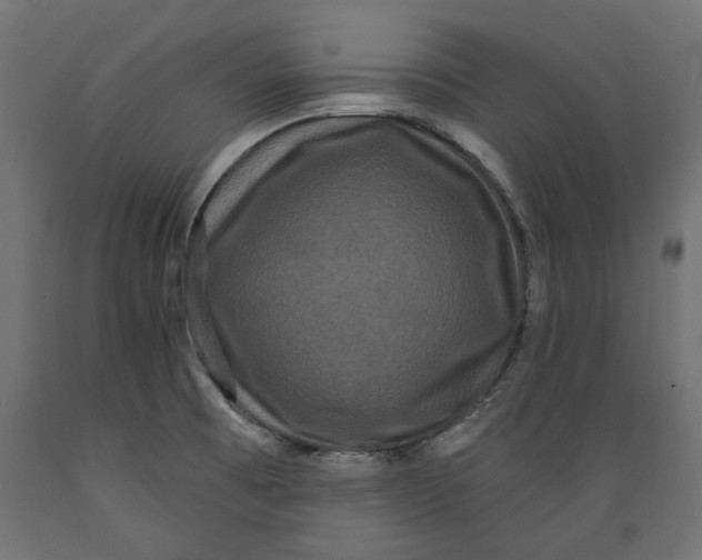 X0000088881473200707061359