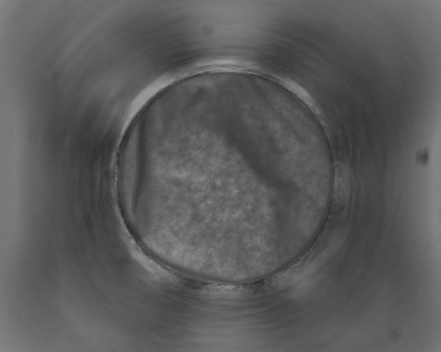X0000088881474200707061359