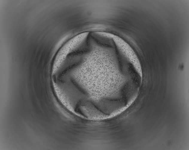 X0000088881475200707061359