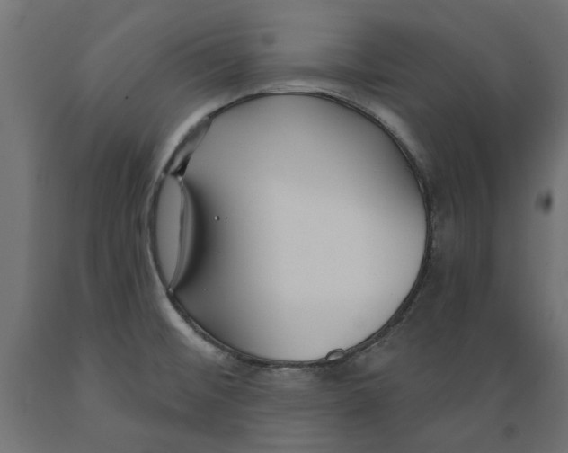 X0000088881476200707061359