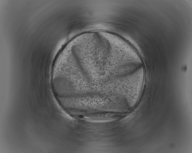 X0000088881477200707061359