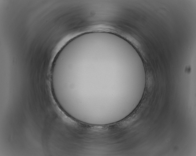 X0000088881478200707061359