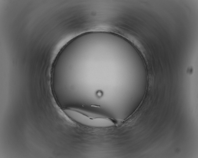 X0000088881480200707061359