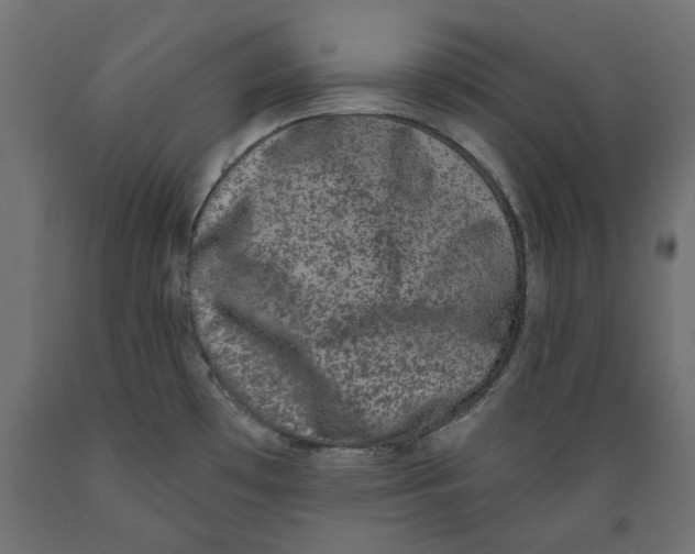 X0000088881481200707061359