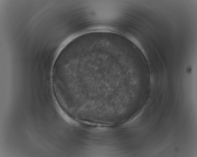 X0000088881482200707061359