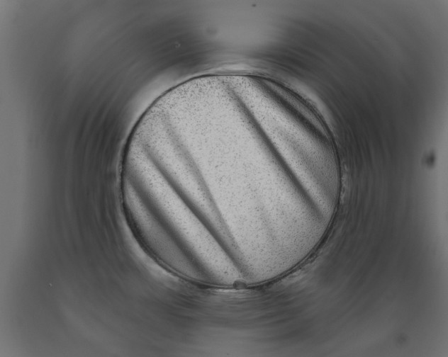 X0000088881483200707061358