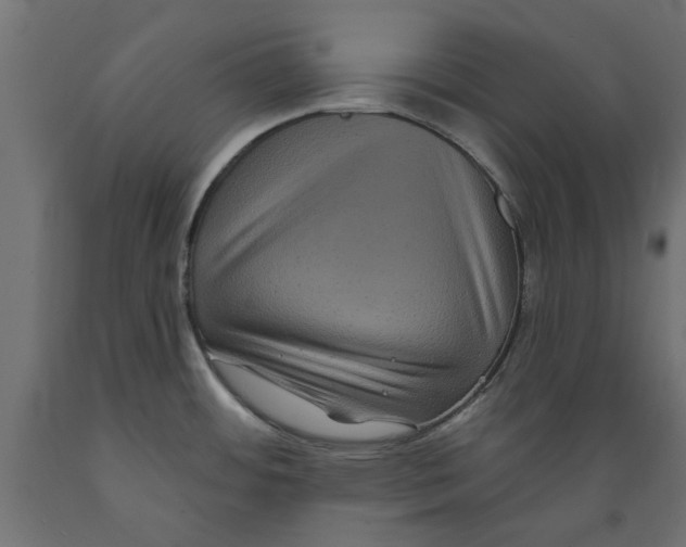 X0000088881484200707061358