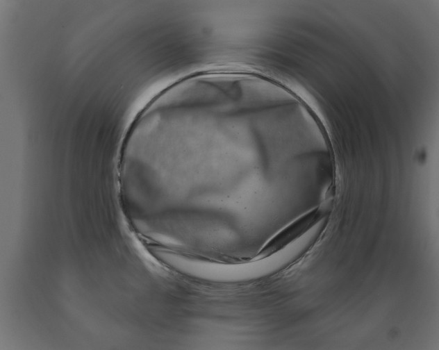 X0000088881485200707061358